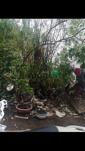 Hình ảnh Bán đất HXH đường Hương Lộ 2, Bình Trị Đông B, Bình Tân