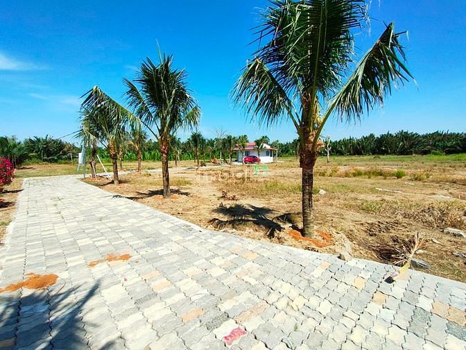 Hình ảnh bán đất trồng cây lâu năm đồng giá 7tr 1m2 phường long phước