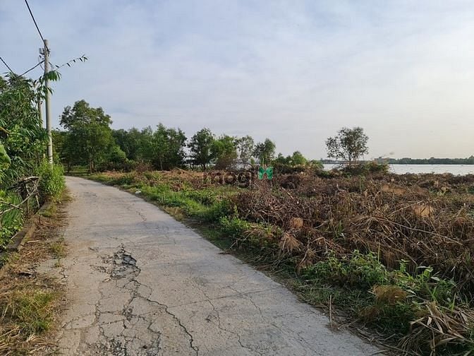 Hình ảnh bán đất trồng cây lâu năm đồng giá 7tr 1m2 phường long phước