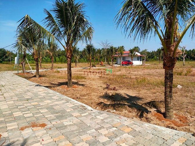 Hình ảnh bán đất trồng cây lâu năm đồng giá 7tr 1m2 phường long phước