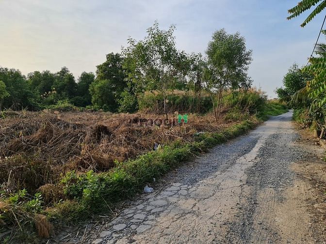 Hình ảnh bán đất trồng cây lâu năm đồng giá 7tr 1m2 phường long phước