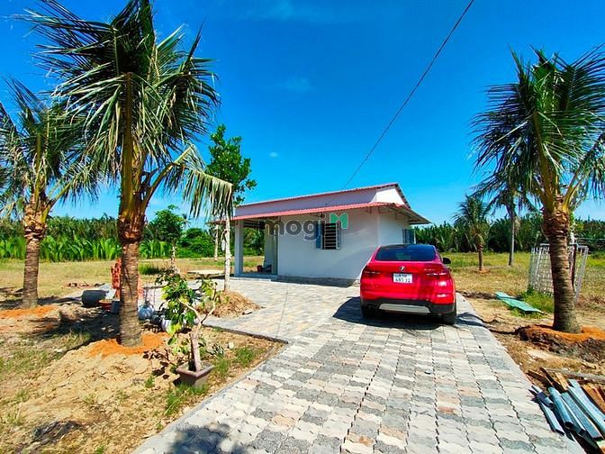 Hình ảnh bán đất trồng cây lâu năm đồng giá 7tr 1m2 phường long phước