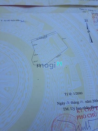 Hình ảnh Đất 2 mặt tiền sát biển Cù Mi Bình Hàm Tân Bình Thuận GIÁ 20 TỶ