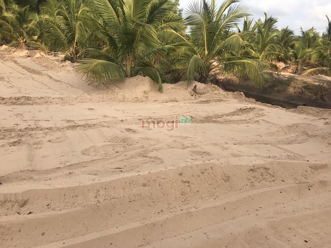 Hình ảnh Bán đất 8 mẫu. vườn dừa 3000 cây bình thuận , giá 40 tỷ