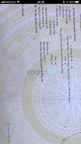 Hình ảnh Bán đất 8 mẫu. vườn dừa 3000 cây bình thuận , giá 40 tỷ