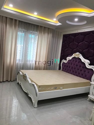 Hình ảnh Cho thuê biệt thự song lập Phú Mỹ Hưng Q7.