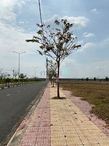 Hình ảnh Bán lô đất Biệt thự khu dân cư D2D Lộc An- Long Thành 3.3 tỷ sổ hồng
