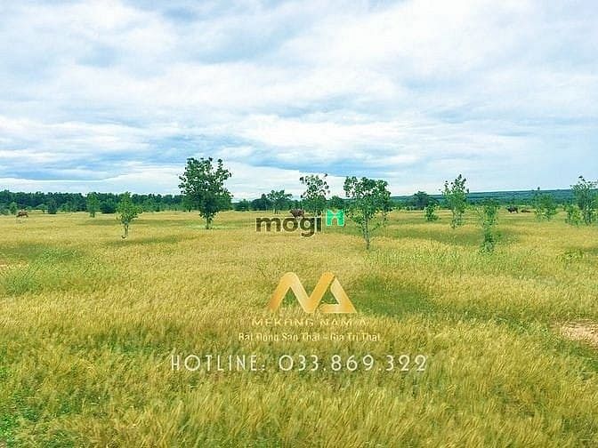 Hình ảnh Cần sang lô đất Mb6666 game giải trí miễn phí công nghê cao