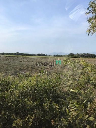 Hình ảnh Đất 4500 m2. Sát nhà thờ Cù Mi. Tân thắng Bình Thuận, GIÁ 4 TỶ 5