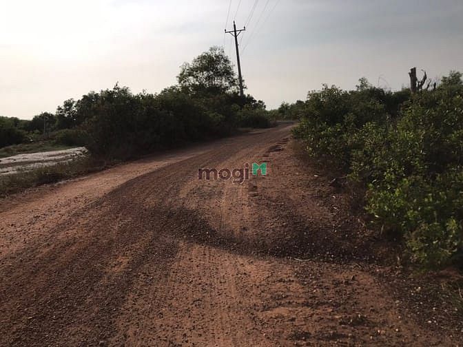Hình ảnh Đất 4500 m2. Sát nhà thờ Cù Mi. Tân thắng Bình Thuận, GIÁ 4 TỶ 5