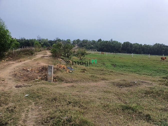 Hình ảnh Bán 2.9 Sào đất Phường Bình Tân, thị xã LaGi gần Biển giá rẻ