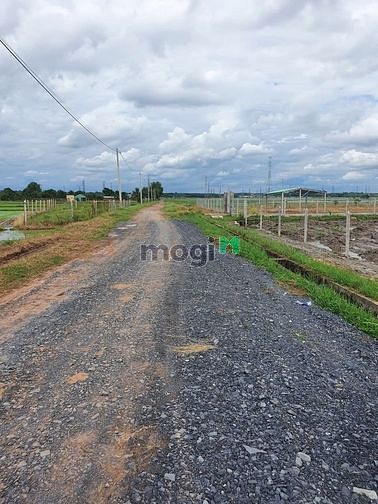 Hình ảnh Đất vườn Củ Chi - Gần KCN Tây Bắc Củ Chi