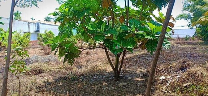 Hình ảnh Chính chủ bán đất 2 mặt tiền, SHR, xây dựng tự do xã Bình Mỹ, Củ Chi
