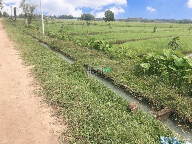 Hình ảnh Cần bán gấp lô đất thổ vườn trước tết