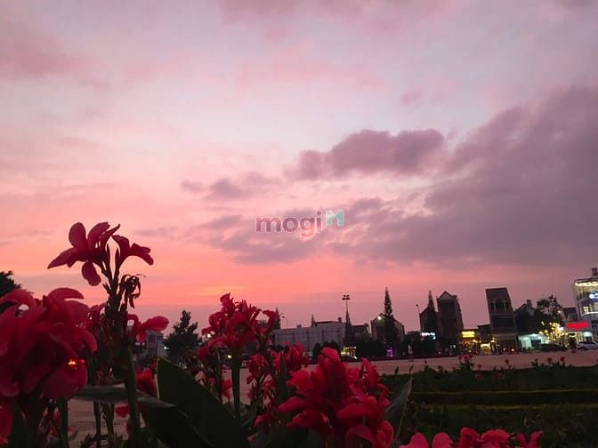 Hình ảnh Khu đất mặt tiền Lý Thái Tổ - Tp Bảo Lộc - Lâm Đồng