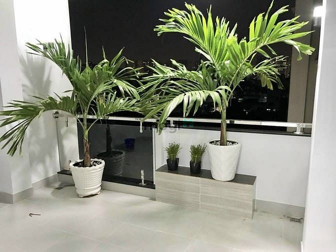 Hình ảnh Nhà mới xây 100% gần Aeon Tân Phú đặt cọc nhận nhà ở ngay