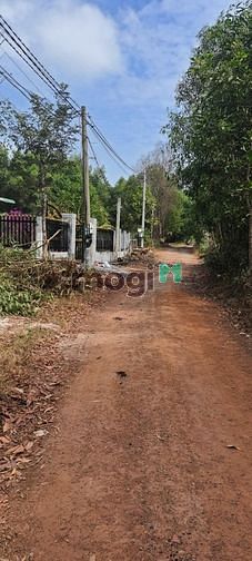 Hình ảnh Bán 1 sào đất Hẻm Lý Nam Đế, xã Tân Phước, thị xã LaGi giá gốc