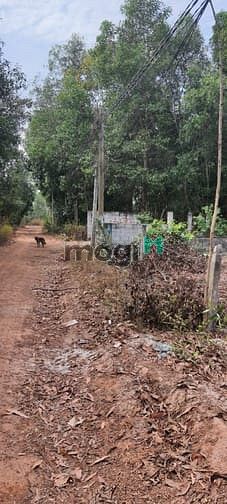 Hình ảnh Bán 1 sào đất Hẻm Lý Nam Đế, xã Tân Phước, thị xã LaGi giá gốc
