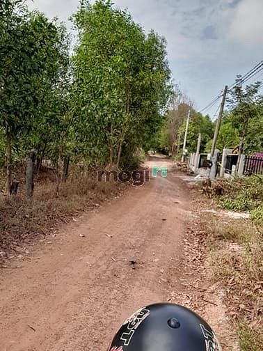 Hình ảnh Bán 1 sào đất Hẻm Lý Nam Đế, xã Tân Phước, thị xã LaGi giá gốc