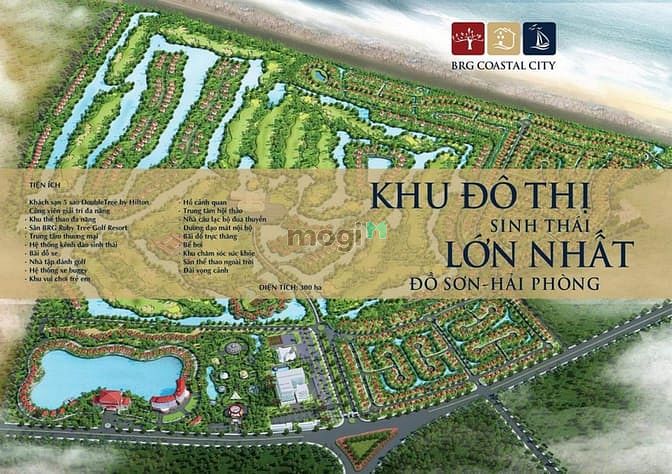Hình ảnh Bán 2 Lô Đất Đường Nguyễn Hữu Cầu hướng Đông Nam Giá Tốt