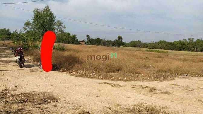 Hình ảnh Bán 5 công đất xã Tân Bình, thị xã LaGi chưa qua Trang MB66.COM Chính Thức - MB 66 Uy Tín