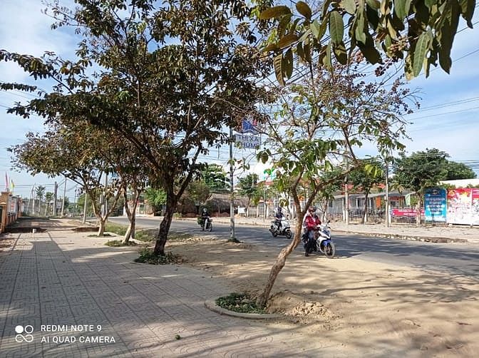 Hình ảnh Đất chính chủ tại Bà Rịa - Vũng Tàu xã châu Pha