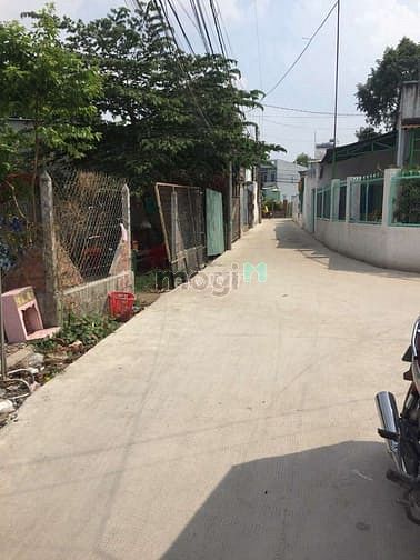 Hình ảnh Đất thổ cư SHR 180m2(10×18) TL15 Tân Thạnh Đông, củ chi