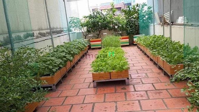 Hình ảnh 💥💥💥 Bán Nhà BÀ LÊ CHÂN 70m2 11tỷ 7 💥💥💥