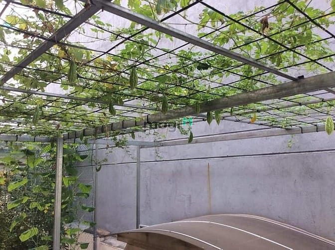 Hình ảnh 💥💥💥 Bán Nhà BÀ LÊ CHÂN 70m2 11tỷ 7 💥💥💥