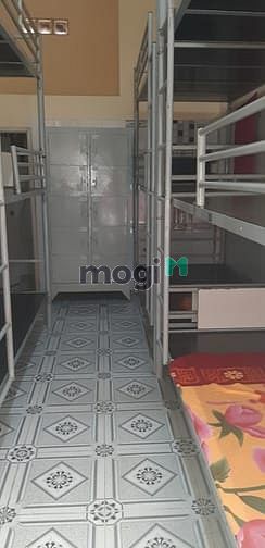 Hình ảnh Q7 Tết đến rộn ràng,Thuê Phòng Nhận ngàn quà tặng