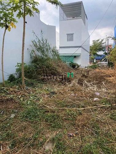 Hình ảnh Đất Đức Hòa Đông - Đức Hòa,sổ hồng, vị trí đẹp, full thổ cư đường nhựa