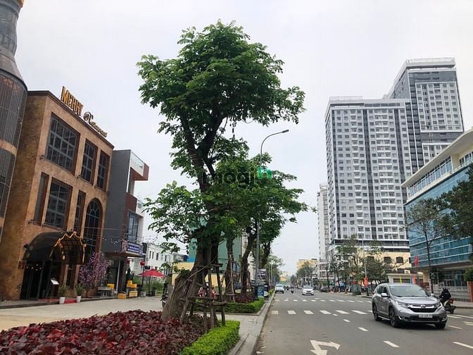 Hình ảnh Bán đất mặt tiền đường Trần Hưng Đạo, Sơn Trà, Đà Nẵng