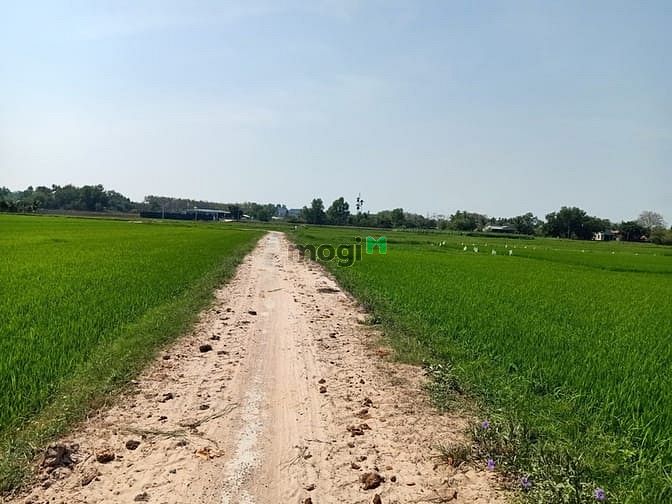 Hình ảnh Bán đất vườn - 1311m2 - 37x39 - xã Trung Lập Thượng - Củ Chi