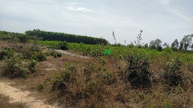 Hình ảnh Bán đất đường Cù Chính Lan, Tân Bình, thị xã LaGi chính chủ