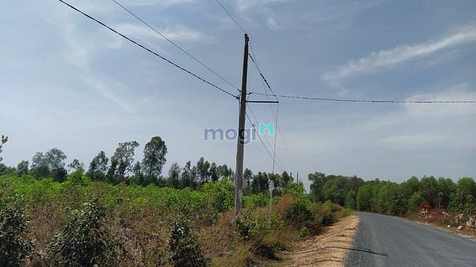 Hình ảnh Bán đất đường Cù Chính Lan, Tân Bình, thị xã LaGi chính chủ
