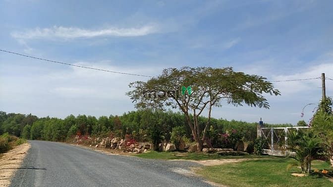 Hình ảnh Bán đất đường Cù Chính Lan, Tân Bình, thị xã LaGi chính chủ