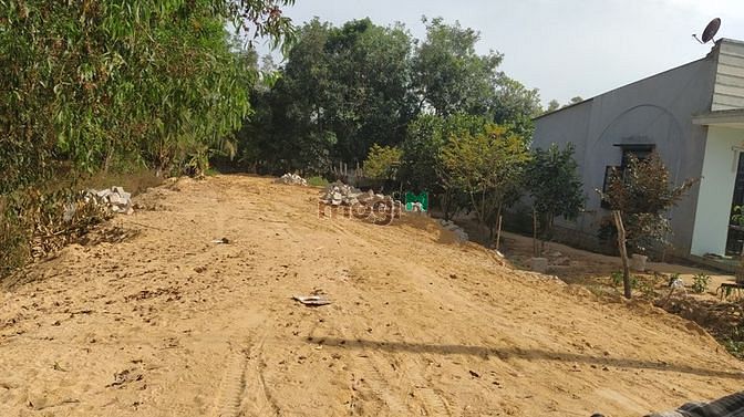 Hình ảnh Bán đất đường số 14, xã Tân Xuân, Hàm Tân chưa qua Trang MB66.COM Chính Thức - MB 66 Uy Tín