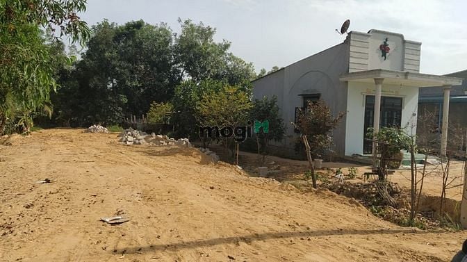 Hình ảnh Bán đất đường số 14, xã Tân Xuân, Hàm Tân chưa qua Trang MB66.COM Chính Thức - MB 66 Uy Tín