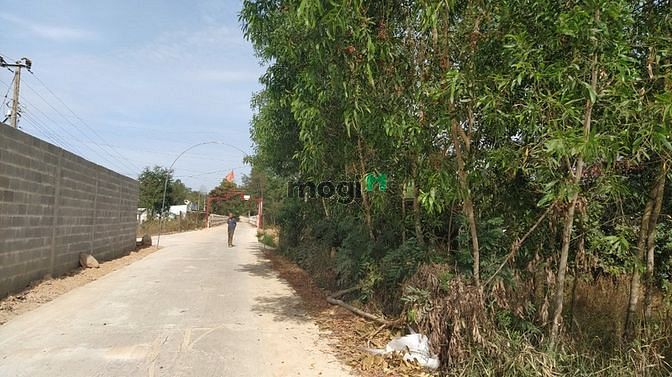 Hình ảnh Bán đất đường số 14, xã Tân Xuân, Hàm Tân chưa qua Trang MB66.COM Chính Thức - MB 66 Uy Tín