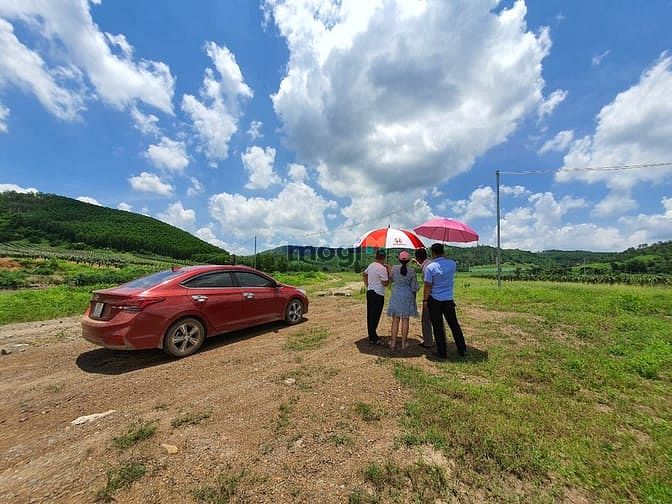 Hình ảnh Bán 7 hecta đất triền đồi Tân Nghĩa - Hàm Tân sổ riêng