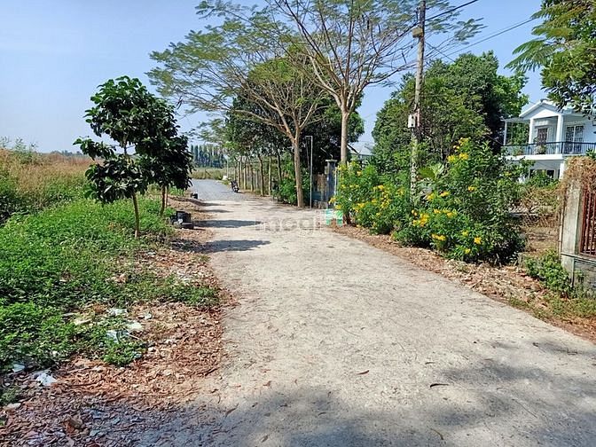 Hình ảnh Bán đất đường 500 - 133m2 - 5x26 - 124m2 thổ cư - xã Phạm Văn Cội