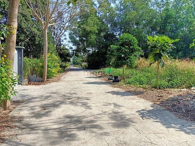 Hình ảnh Bán đất đường 500 - 133m2 - 5x26 - 124m2 thổ cư - xã Phạm Văn Cội