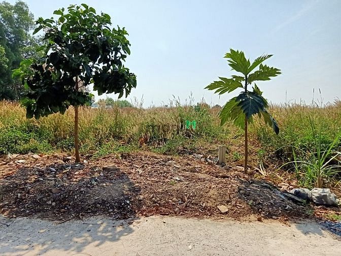 Hình ảnh Bán đất đường 500 - 133m2 - 5x26 - 124m2 thổ cư - xã Phạm Văn Cội