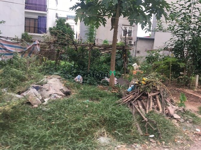 Hình ảnh Bán ô đất 65m mặt đường Cửu Việt 1 kinh doanh cực tốt
