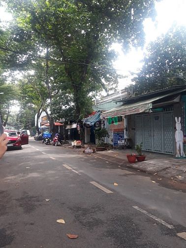 Hình ảnh Hẻm Xe Hơi Bành Văn Trân P.7 Q.Tân Bình