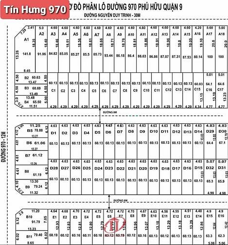 Hình ảnh Bán đất đường 970, Tín Hưng, Nguyễn Duy Trinh, Phú Hữu