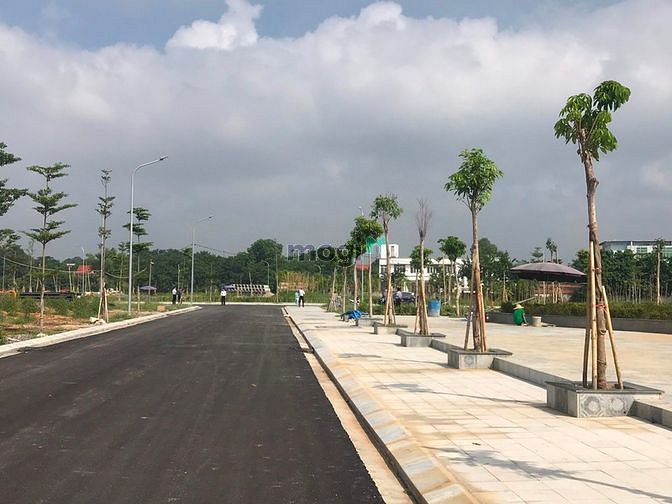 Hình ảnh Bán lô cạnh góc, xây dựng tự do, mua là lãi