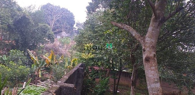 Hình ảnh Bán 448m2 đất có sẵn nhà thị trấn Kỳ Sơn, Kỳ Sơn Hoà Bình.