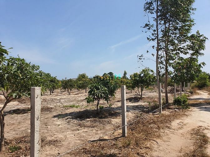 Hình ảnh Bán 6.5 sào đất Tân Bình, thị xã LaGi gần Sông Dinh