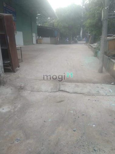 Hình ảnh cho thuê xưởng đường TL 56 bùi công trừng, có điện 3 pha